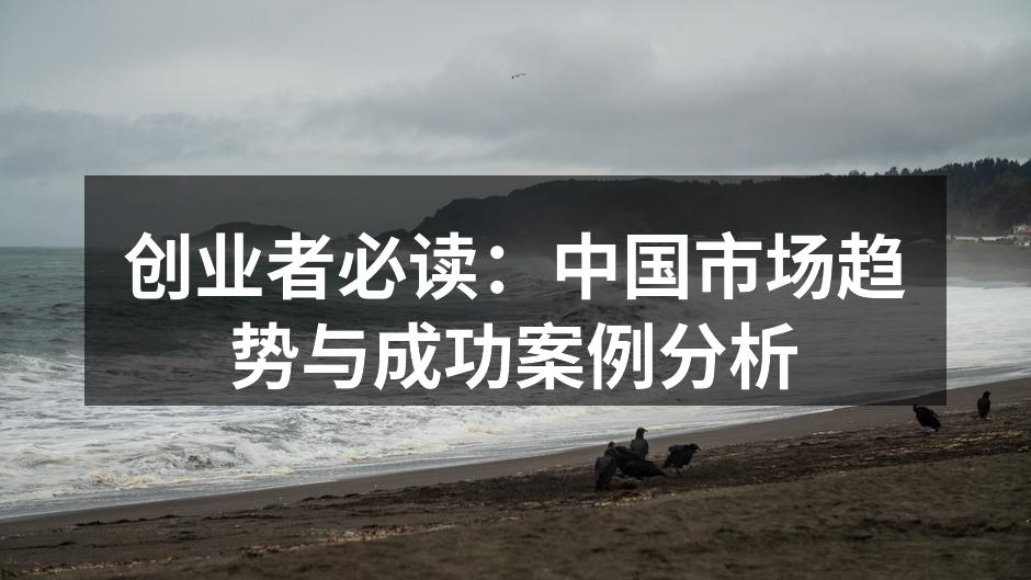 创业者必读：中国市场趋势与成功案例分析
