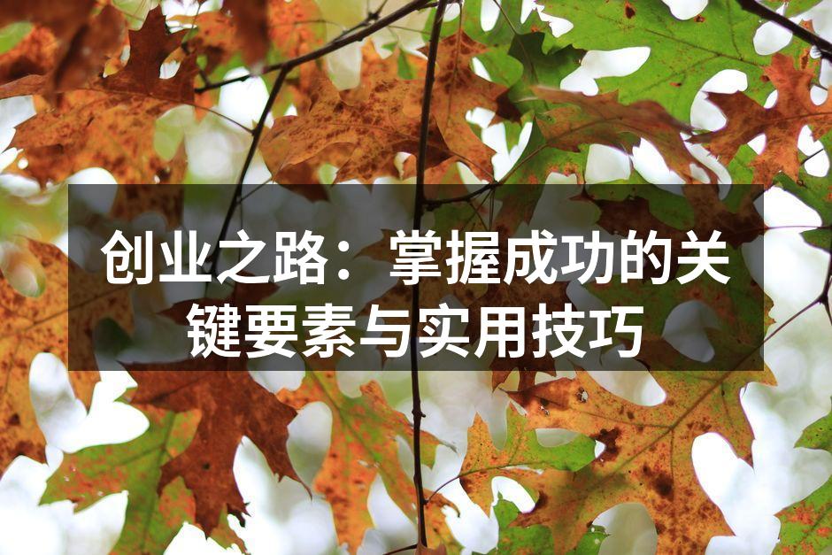 创业之路：掌握成功的关键要素与实用技巧