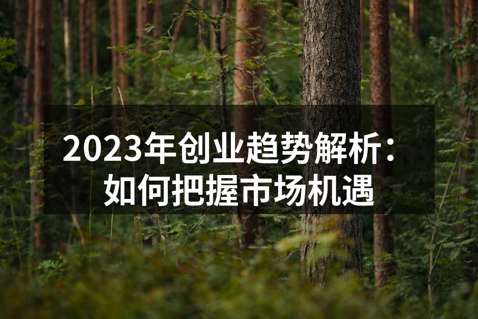 2023年创业趋势解析：如何把握市场机遇